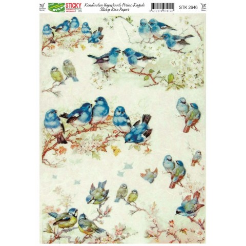 STICKY KENDİNDEN YAPIŞKANLI PİRİNÇ 2646