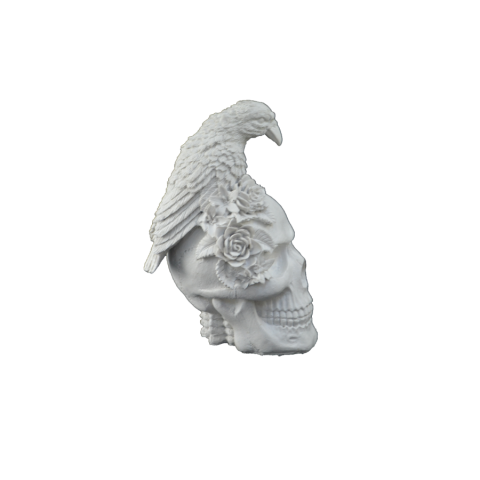 KURUKAFA ÜZERİNDE ÇİÇEKLİ KARGA 20X10 CM