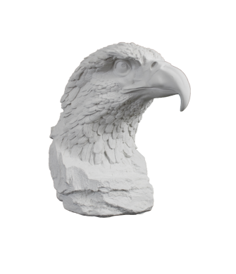 KARTAL BÜST