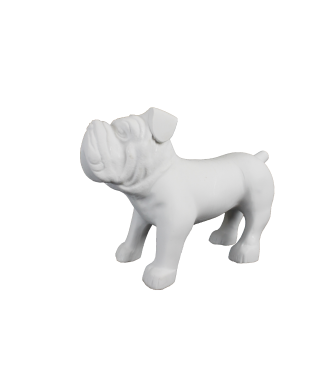 BULLDOG