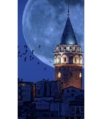 Sayılarla Boyama Seti (Renkli baskı Çerçeveli) 40x50 cm Galata Kulesi