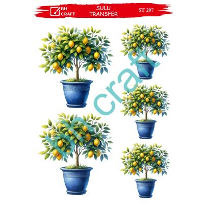 SULU TRANSFER BH CRAFT 207