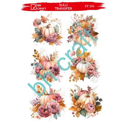 SULU TRANSFER BH CRAFT 254