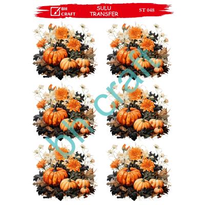 SULU TRANSFER BH CRAFT 48