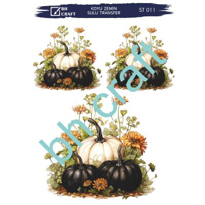 SULU TRANSFER BH CRAFT KOYU ZEMİN 11