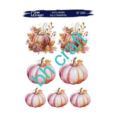 SULU TRANSFER BH CRAFT KOYU ZEMİN 200