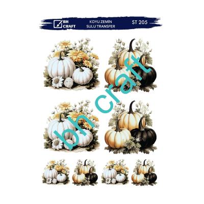 SULU TRANSFER BH CRAFT KOYU ZEMİN 205
