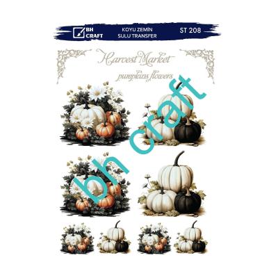 SULU TRANSFER BH CRAFT KOYU ZEMİN 208
