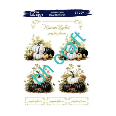 SULU TRANSFER BH CRAFT KOYU ZEMİN 209