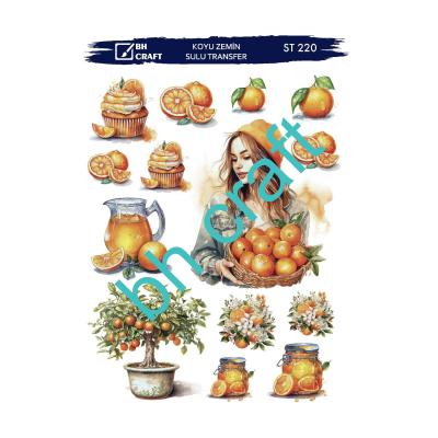 SULU TRANSFER BH CRAFT KOYU ZEMİN 220