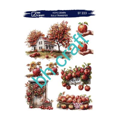 SULU TRANSFER BH CRAFT KOYU ZEMİN 223