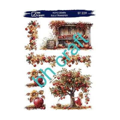 SULU TRANSFER BH CRAFT KOYU ZEMİN 229