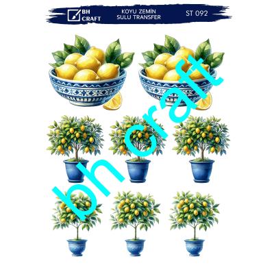 SULU TRANSFER BH CRAFT KOYU ZEMİN 92