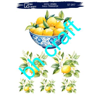 SULU TRANSFER BH CRAFT KOYU ZEMİN 97