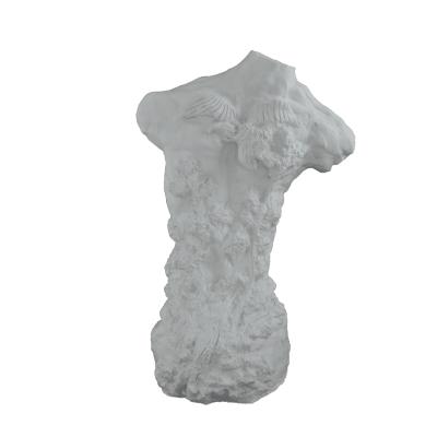 GÖĞSÜ KARTALLI TORS 41X26 CM