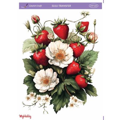 SULU TRANSFER LİNEART LNT407