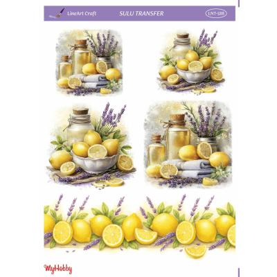 SULU TRANSFER LİNEART LNT588