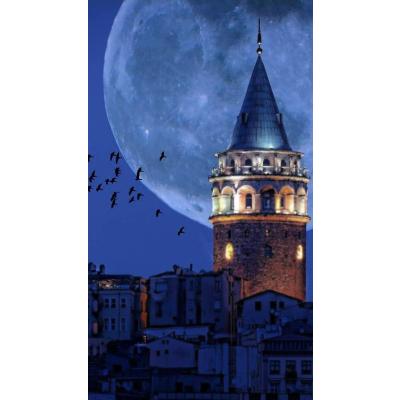 Sayılarla Boyama Seti (Renkli baskı Çerçeveli) 40x50 cm Galata Kulesi