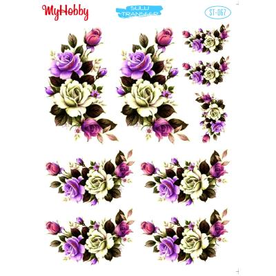 SULU TRANSFER MYHOBBY ST-067