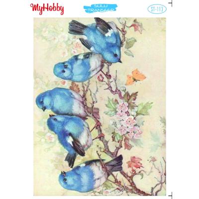 SULU TRANSFER MYHOBBY ST-113