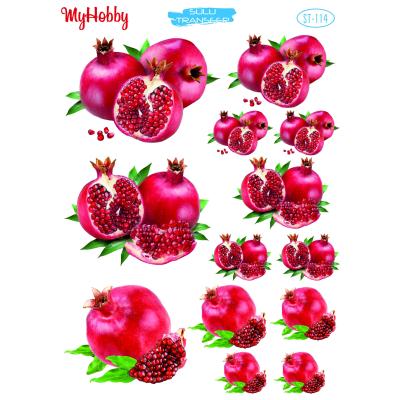 SULU TRANSFER MYHOBBY ST-114