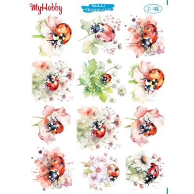 SULU TRANSFER MYHOBBY ST-486