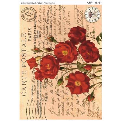 YENİ SERİ PİRİNÇ KAĞITLARI 4636