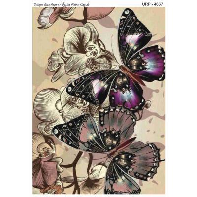 YENİ SERİ PİRİNÇ KAĞITLARI 4667