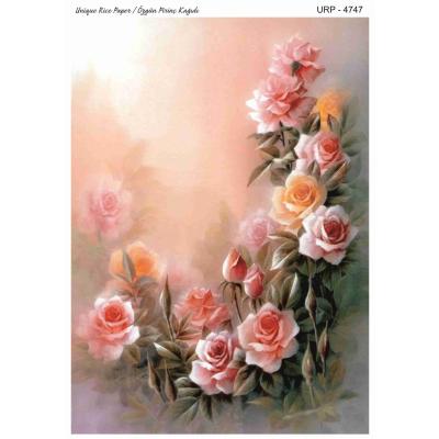 YENİ SERİ PİRİNÇ KAĞITLARI 4747