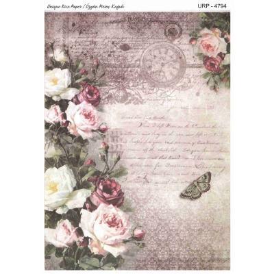YENİ SERİ PİRİNÇ KAĞITLARI 4794