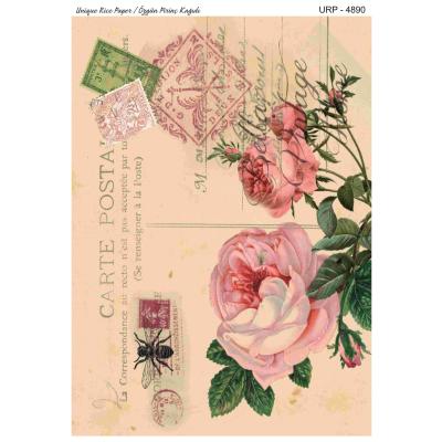 YENİ SERİ PİRİNÇ KAĞITLARI 4890