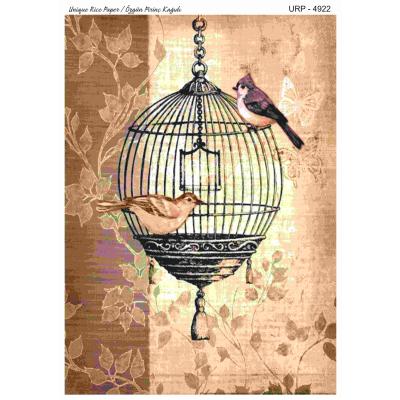 YENİ SERİ PİRİNÇ KAĞITLARI 4922