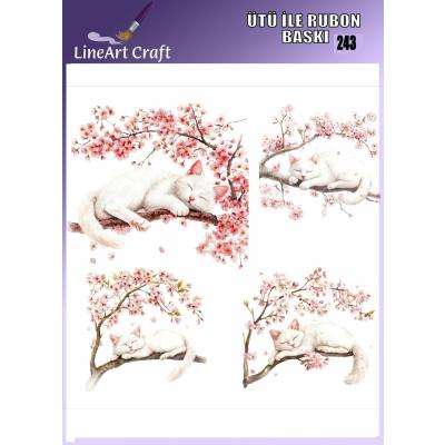 Ütü ile Rub On Transfer No:243