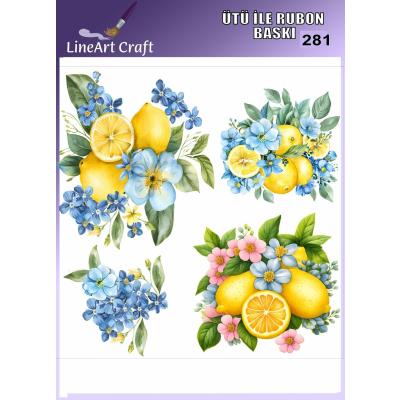Ütü ile Rub On Transfer No:281