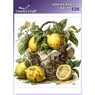 Ütü ile Rub On Transfer No:520
