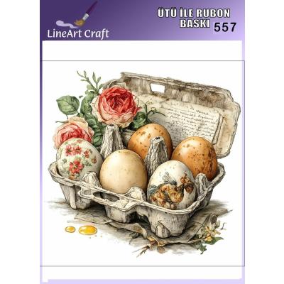 Ütü ile Rub On Transfer No:557