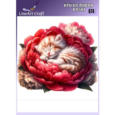 Ütü ile Rub On Transfer No:674