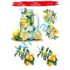 SULU TRANSFER BH CRAFT 223