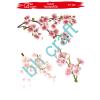 SULU TRANSFER BH CRAFT 250