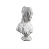 KAİDELİ TÜLLÜ KADIN BÜST 34X20 CM