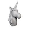 DUVARDAKİ UNICORN