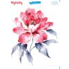 SULU TRANSFER MYHOBBY ST-334