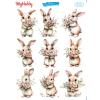 SULU TRANSFER MYHOBBY ST-555