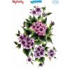 SULU TRANSFER MİNİ MYHOBBY ST-K2