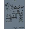 STENCIL NEW SERİ X-LARGE  240