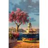 Sayılarla Boyama Seti (Renkli baskı Çerçeveli) 40x50 cm Kız Kulesi ve Martılar